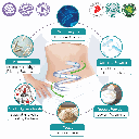Detox Formula Enzyme-Probiotics