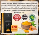 Greenkare Liver Care Triple Turmeric Extract - Natural Liver Cleanse, Detox &amp; Repair - Fatty Liver, Alcohol &amp; Hangover | Made in Japan | 120 Tablets