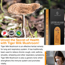 Greenkare Tiger Milk Mushroom Extract 虎乳芝| Relief Sinus,Cough,Lung Nourishing&amp;Respiratory