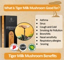 Greenkare Tiger Milk Mushroom Extract 虎乳芝| Relief Sinus,Cough,Lung Nourishing&amp;Respiratory