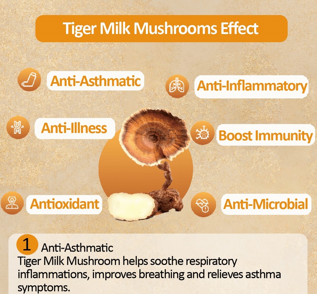 Greenkare Tiger Milk Mushroom Extract 虎乳芝| Relief Sinus,Cough,Lung Nourishing&amp;Respiratory