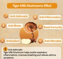 Greenkare Tiger Milk Mushroom Extract 虎乳芝| Relief Sinus,Cough,Lung Nourishing&amp;Respiratory